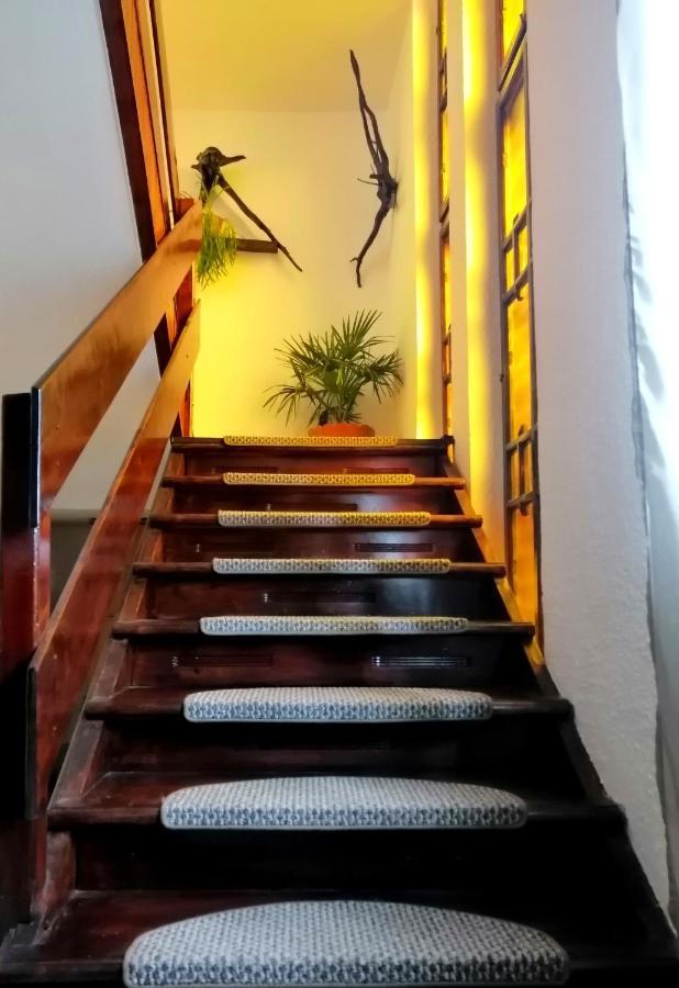 فيلا Apartament Sarco فاترا دورني المظهر الخارجي الصورة
