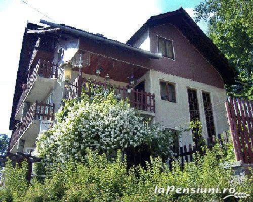 فيلا Apartament Sarco فاترا دورني المظهر الخارجي الصورة